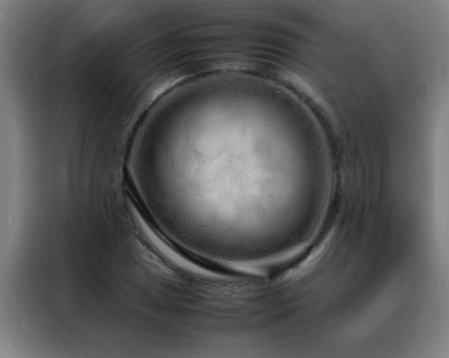 X0000088131025200705211111