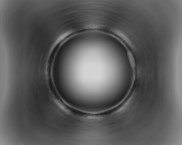 X0000088131026200705211111