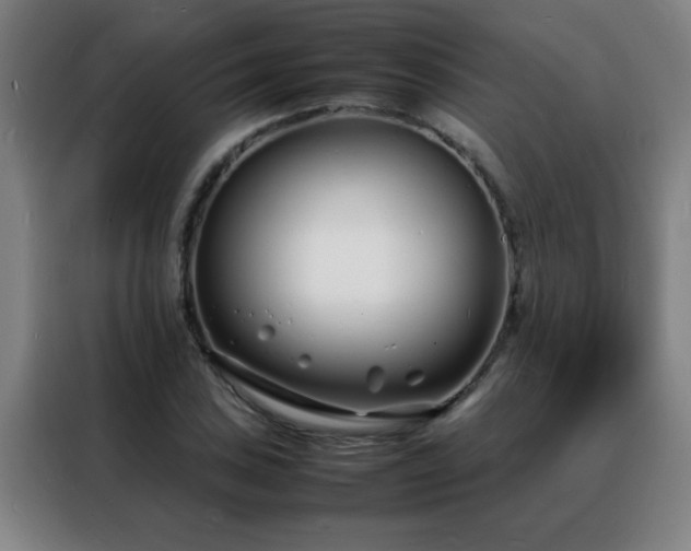 X0000088131027200705211111