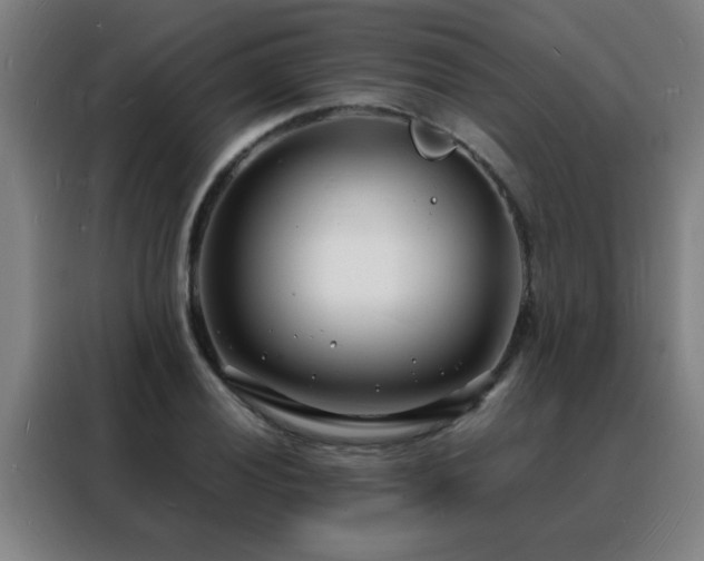 X0000088131028200705211111