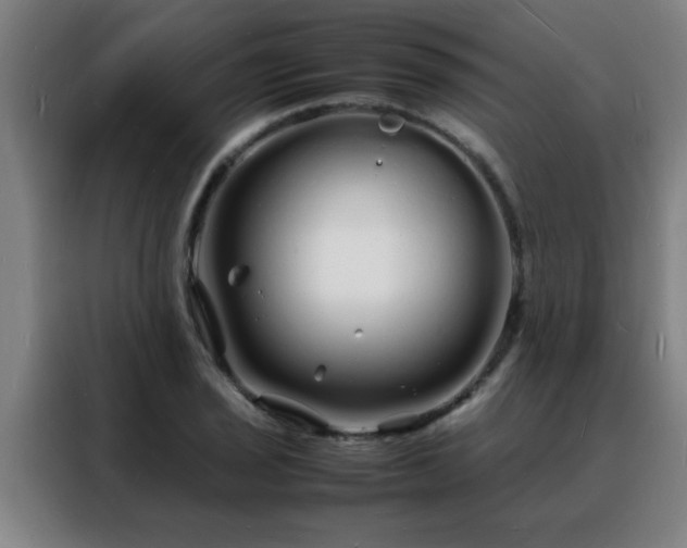 X0000088131029200705211111