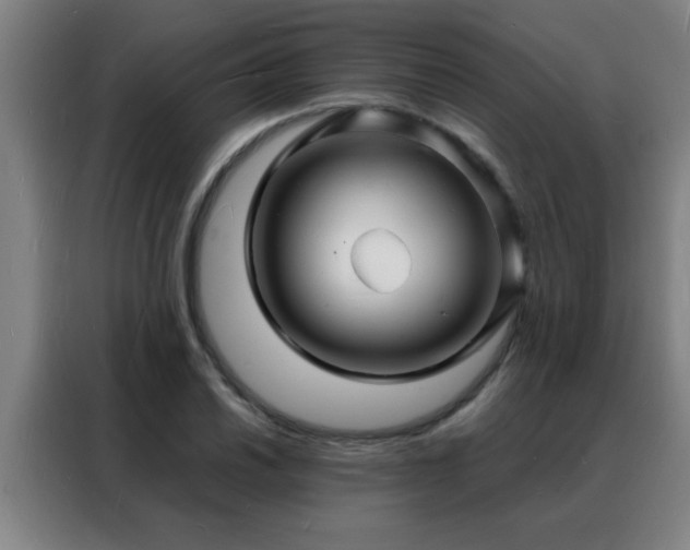 X0000088131030200705211111