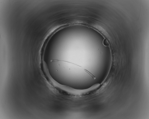 X0000088131031200705211111