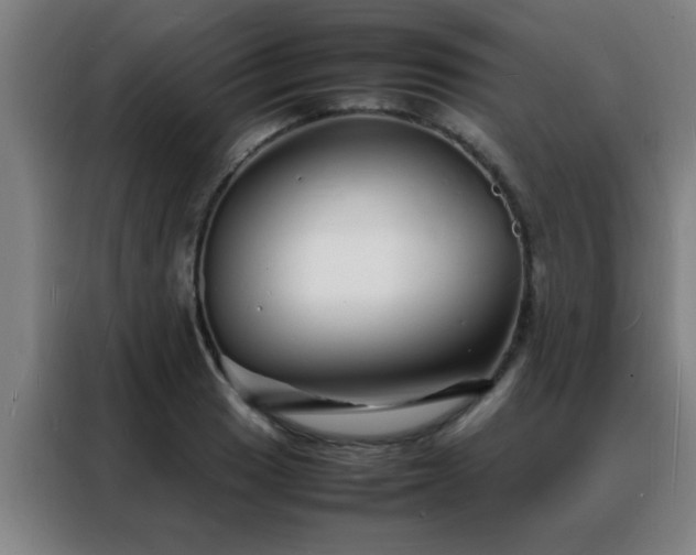 X0000088131033200705211111