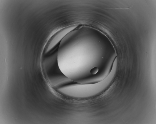 X0000088131034200705211111