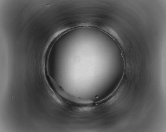 X0000088131035200705211111