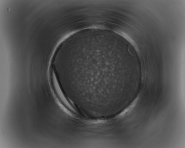 X0000088131037200705211111