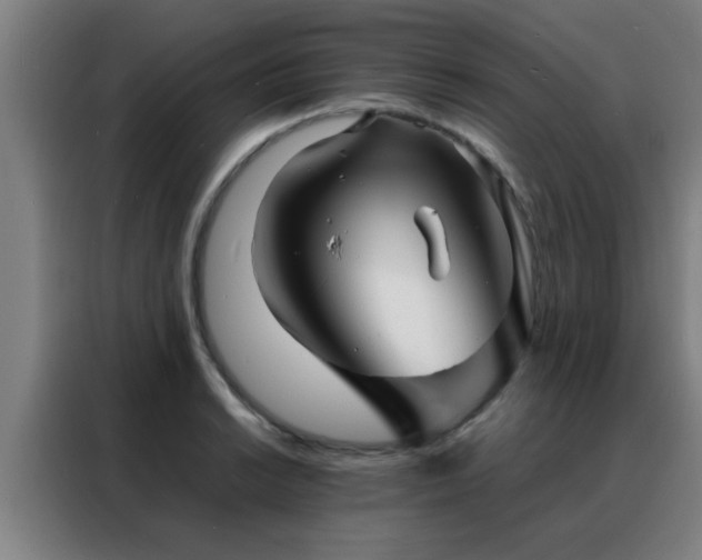 X0000088131038200705211111