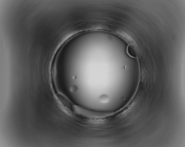 X0000088131039200705211111