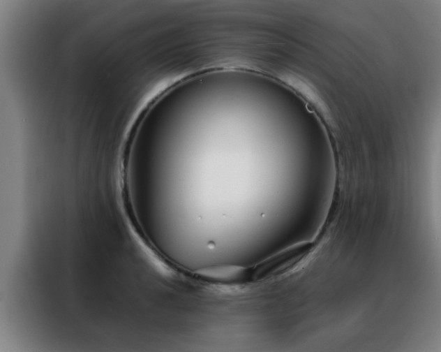 X0000088131040200705211111