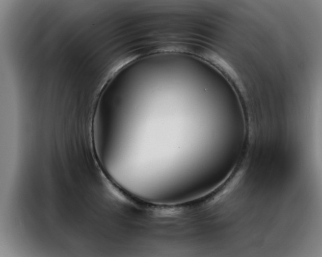 X0000088131041200705211111