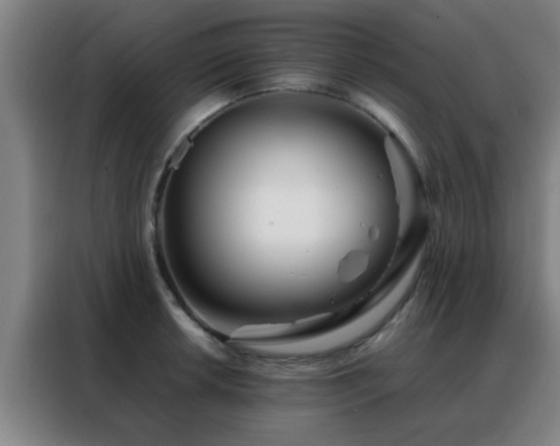 X0000088131042200705211111