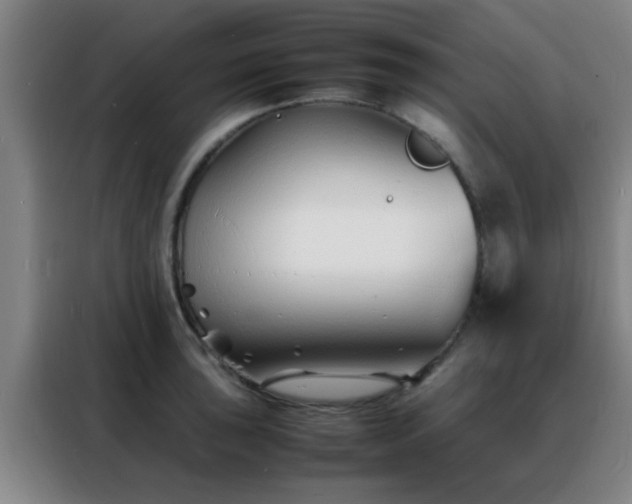 X0000088131043200705211111