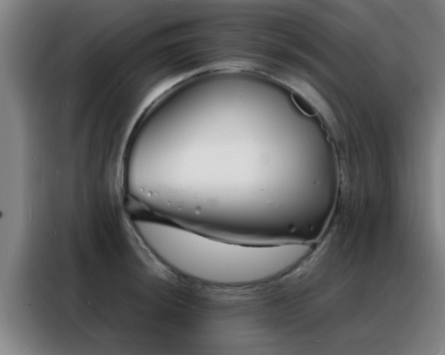 X0000088131044200705211111