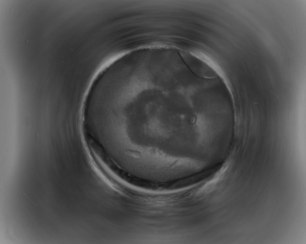 X0000088131045200705211111