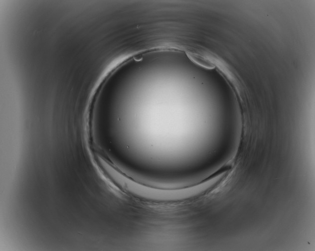 X0000088131048200705211112