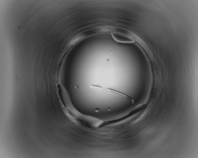 X0000088131049200705211112