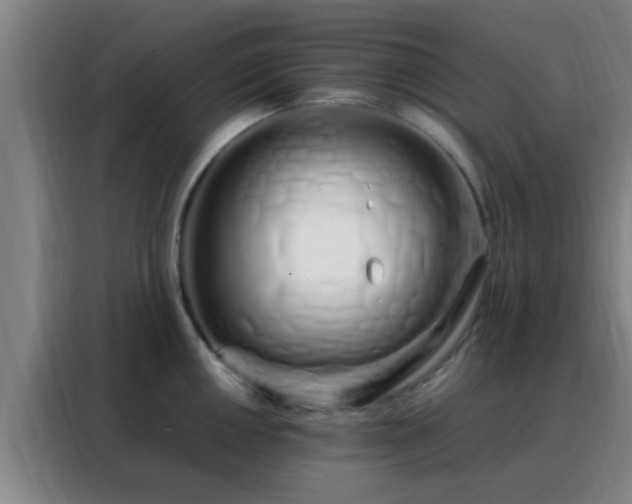 X0000088131050200705211112