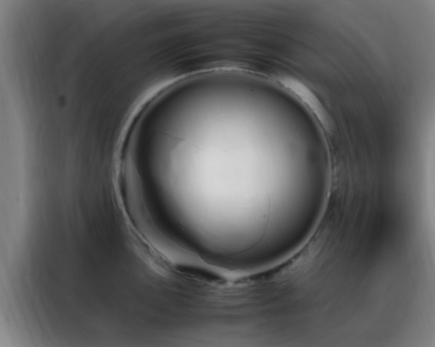 X0000088131051200705211112