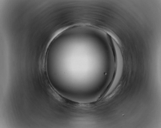 X0000088131052200705211112