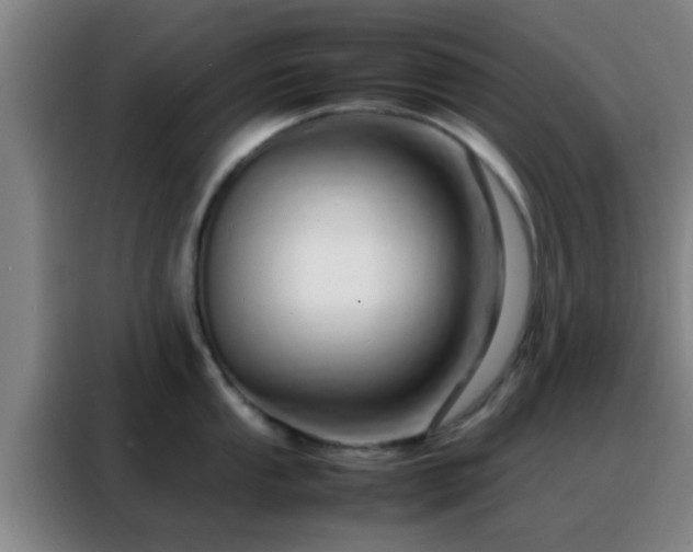 X0000088131053200705211112