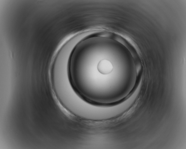 X0000088131054200705211112