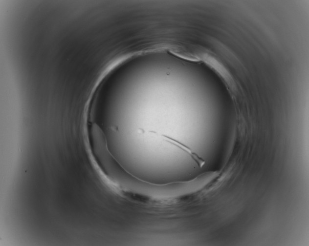 X0000088131055200705211112