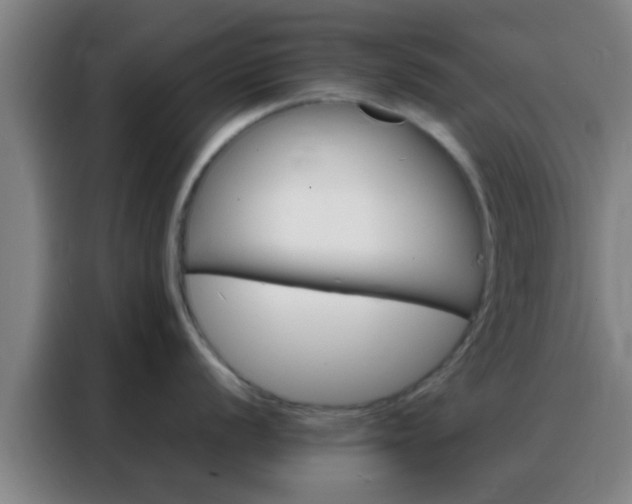 X0000088131056200705211112