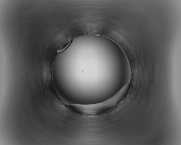 X0000088131058200705211111