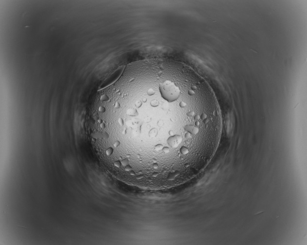 X0000088131059200705211111