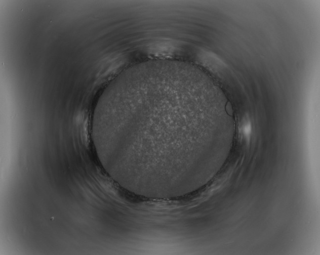 X0000088131060200705211111