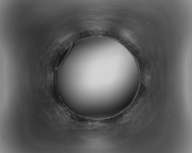 X0000088131061200705211111