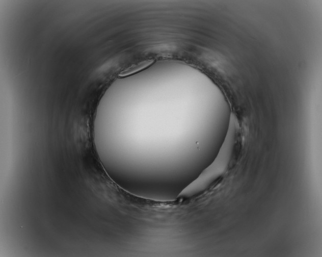 X0000088131062200705211111