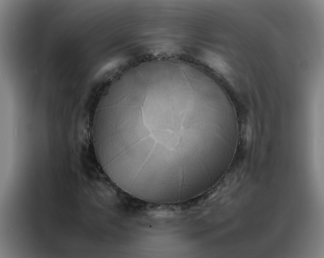 X0000088131063200705211111