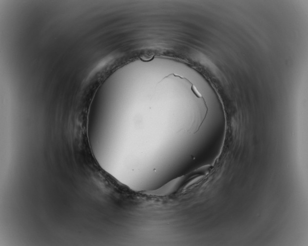 X0000088131064200705211111