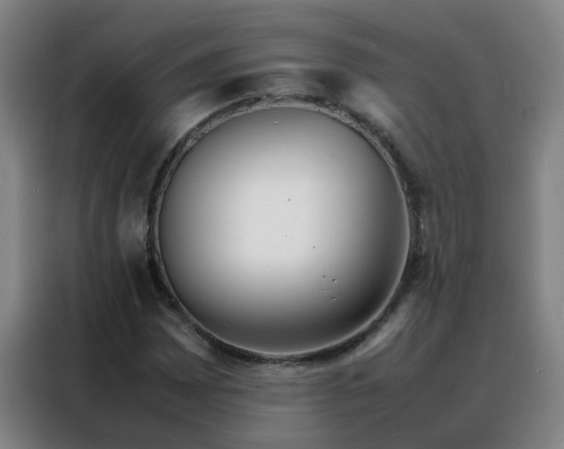 X0000088131065200705211111