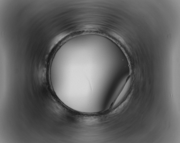 X0000088131066200705211111