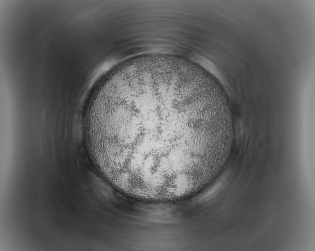 X0000088131067200705211111