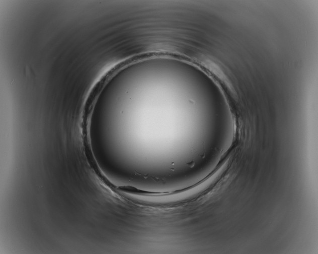 X0000088131068200705211111