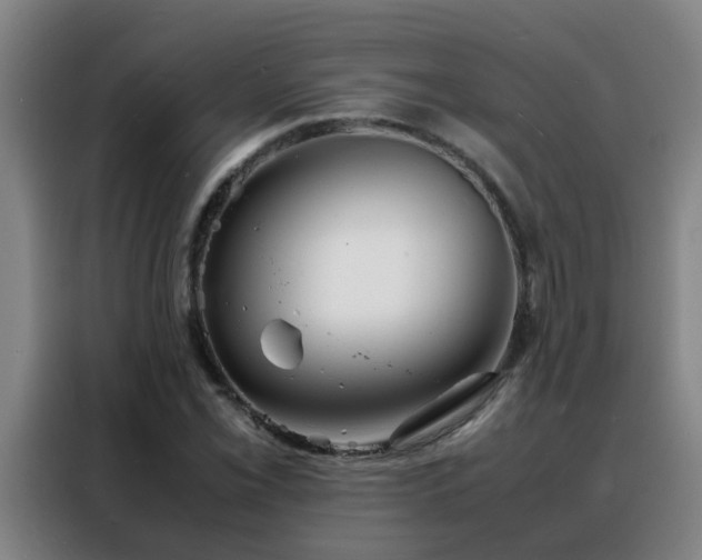 X0000088131069200705211111