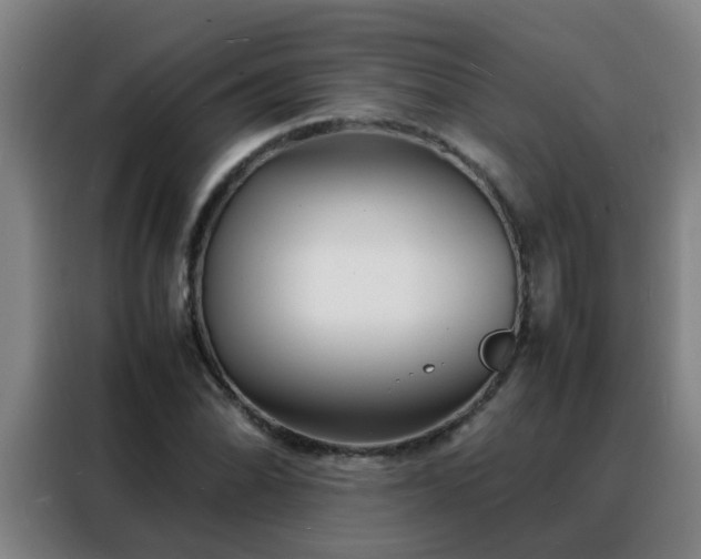 X0000088131070200705211111