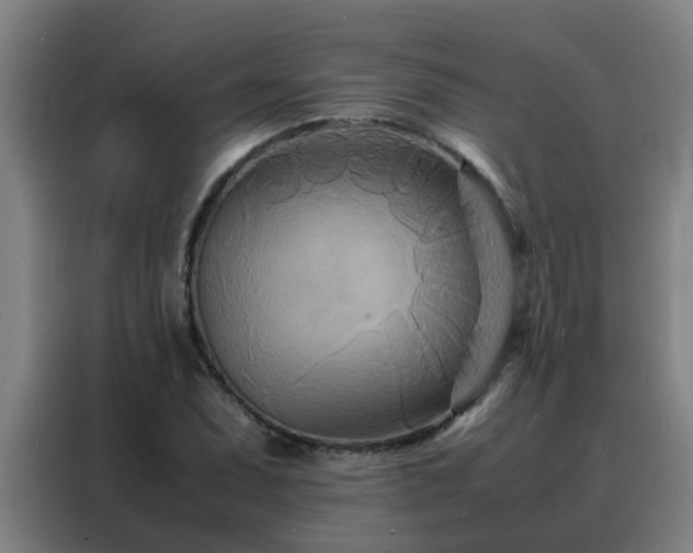 X0000088131071200705211111