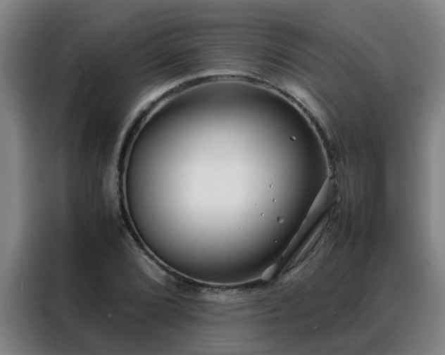 X0000088131072200705211111