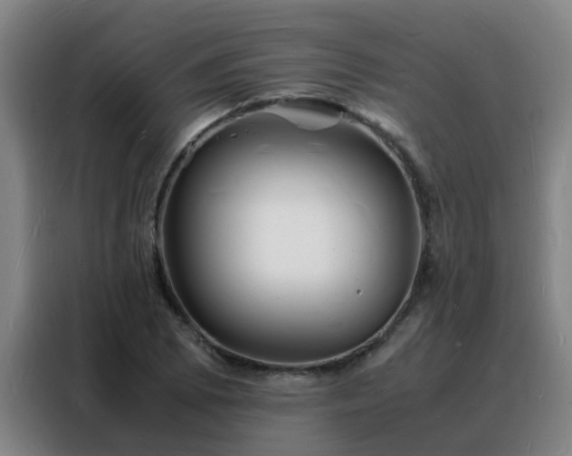 X0000088131073200705211111