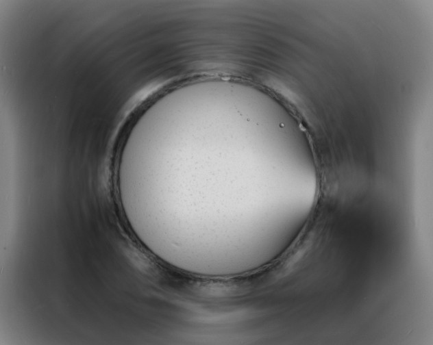 X0000088131074200705211111