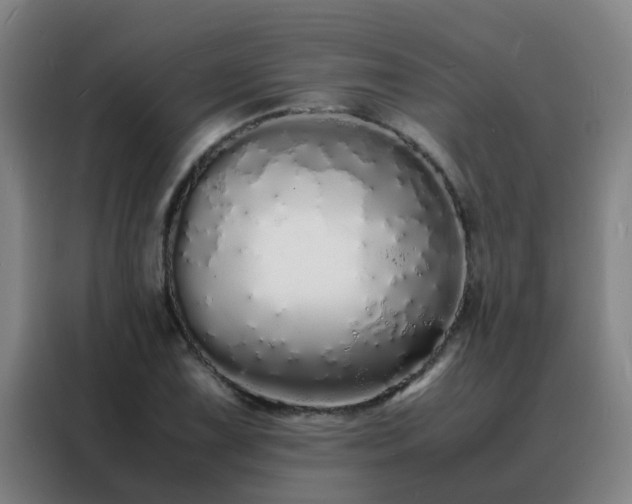 X0000088131075200705211111