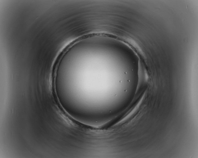 X0000088131076200705211111