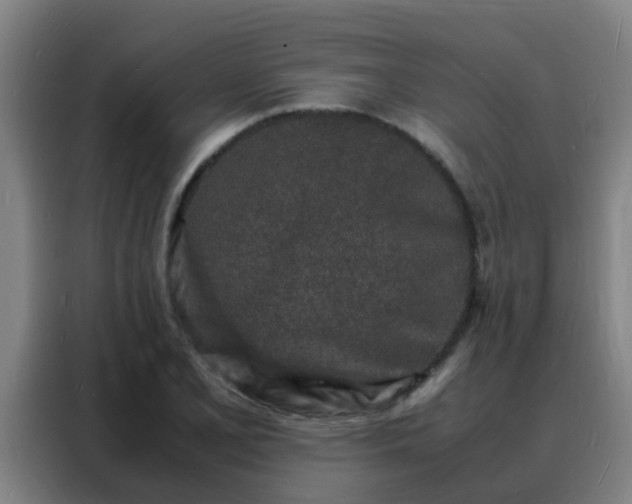 X0000088131077200705211111