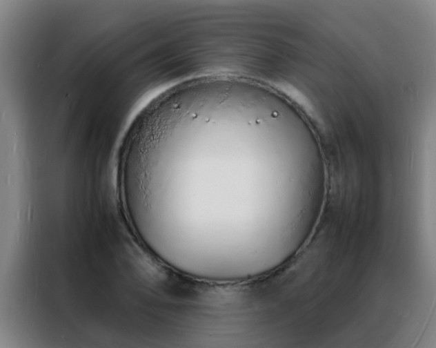 X0000088131078200705211111