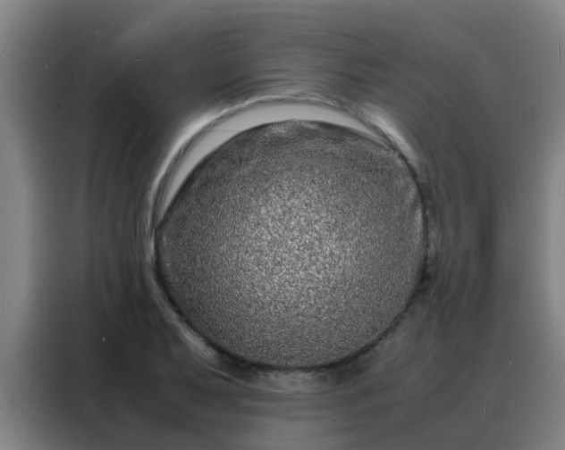 X0000088131079200705211111